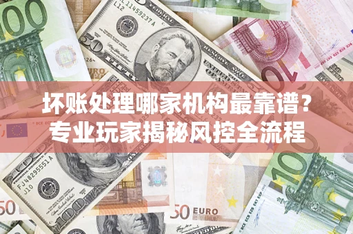 武汉坏账处理哪家机构最靠谱？专业玩家揭秘风控全流程
