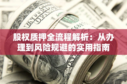 武汉股权质押全流程解析：从办理到风险规避的实用指南