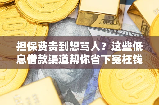 武汉担保费贵到想骂人？这些低息借款渠道帮你省下冤枉钱