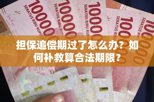 武汉担保追偿期过了怎么办？如何补救算合法期限？