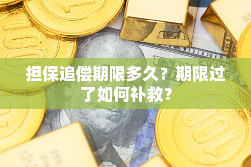 武汉担保追偿期限多久？期限过了如何补救？