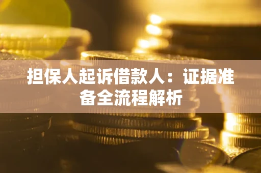 武汉担保人起诉借款人：证据准备全流程解析
