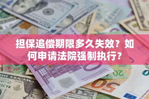 武汉担保追偿期限多久失效？如何申请法院强制执行？