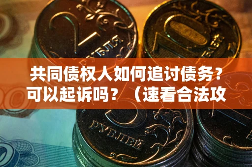 武汉共同债权人如何追讨债务？可以起诉吗？（速看合法攻略）