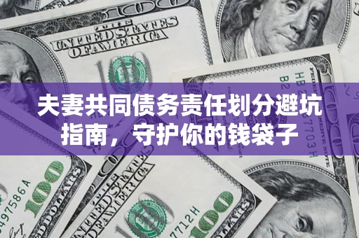 武汉夫妻共同债务责任划分避坑指南，守护你的钱袋子