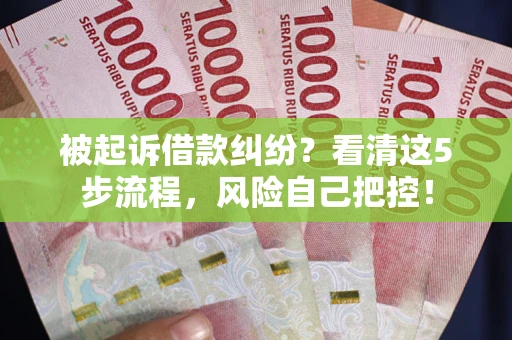 武汉被起诉借款纠纷？看清这5步流程，风险自己把控！